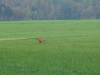 bilder-lschneemann-herbstausritt2014-040