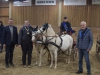 kreismeister-zweispaenner-pony-dennis-hiller-huenfeld